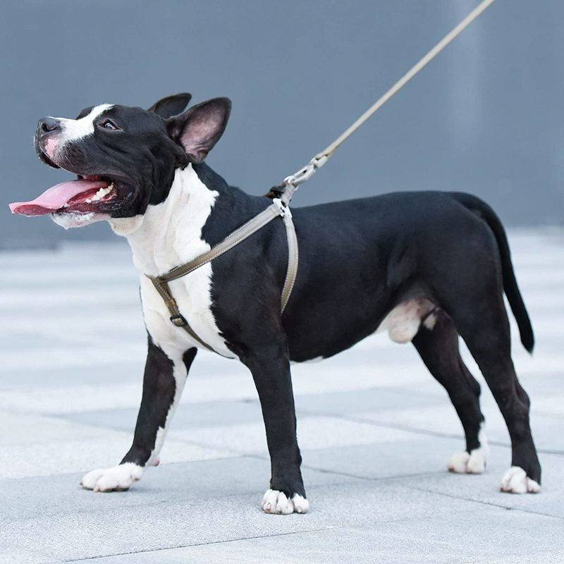 Ham ajustabil din nailon pentru câini, vestă reflectorizantă pentru piept, fără tragere, ham pentru cățeluș de companie, pentru câini mici, mijlocii mari, consumabile pentru câini Corgi