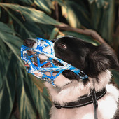 Nosiva navlaka za pseća usta Višesmjerna fiksacijska njuška Prozračna njuška protiv žvakanja Lajanje Kavez pseća njuška protiv ugriza