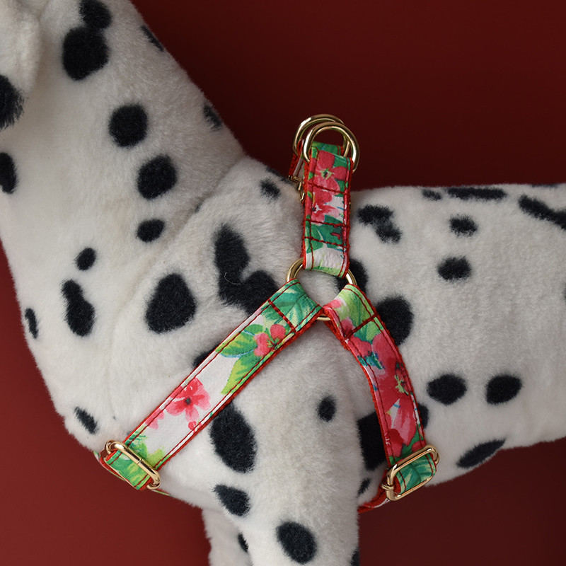 Ham pentru câini cu design personalizat pentru câini mici, mijlocii mari, etichetă de identificare cu nume gravată gratuit, gulere pentru câini de Crăciun pentru flori chihuahua11