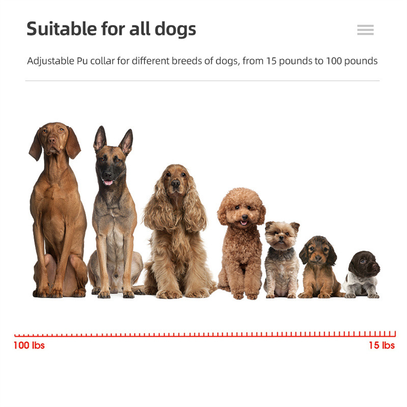 800 m elektriline koerte treeningkaelarihm veekindel laetav lemmiklooma haukumisvastane kaelarihm koertele elektrišokk