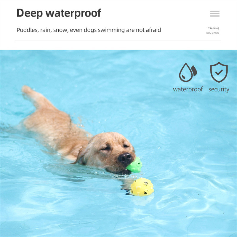 800 m elektriline koerte treeningkaelarihm veekindel laetav lemmiklooma haukumisvastane kaelarihm koertele elektrišokk