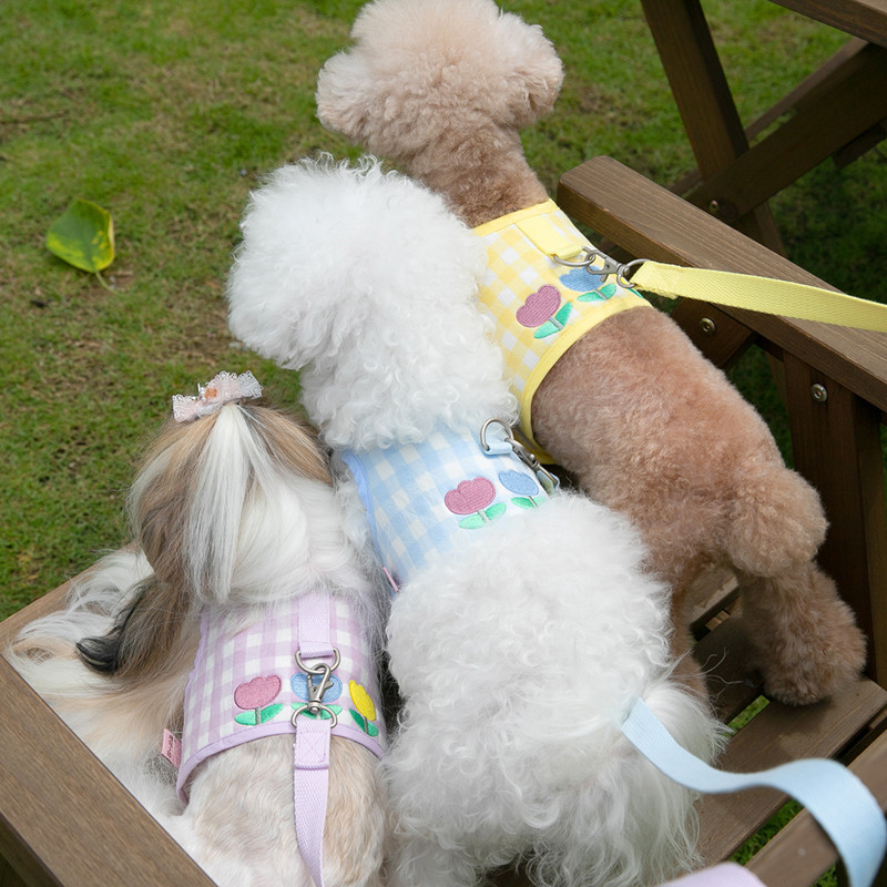 Set de ham pentru pisici pentru câini lalele și set de lesă din plumb, în carouri, vestă pentru cățeluș, accesorii pentru câini de talie mică, broderie, articole de plimbare pentru pisoi York