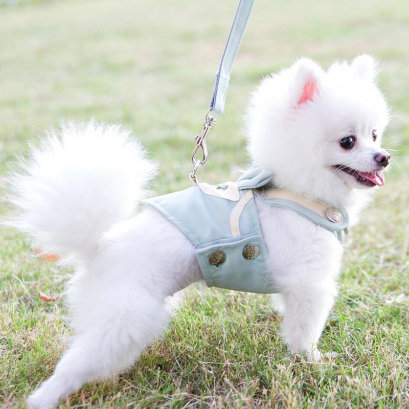 1 set Ham pentru animale de companie cu lesă Respirabil Confortabil Desenu animat Design unisex Dimensiune medie Câine în aer liber Curea de piept pentru vară