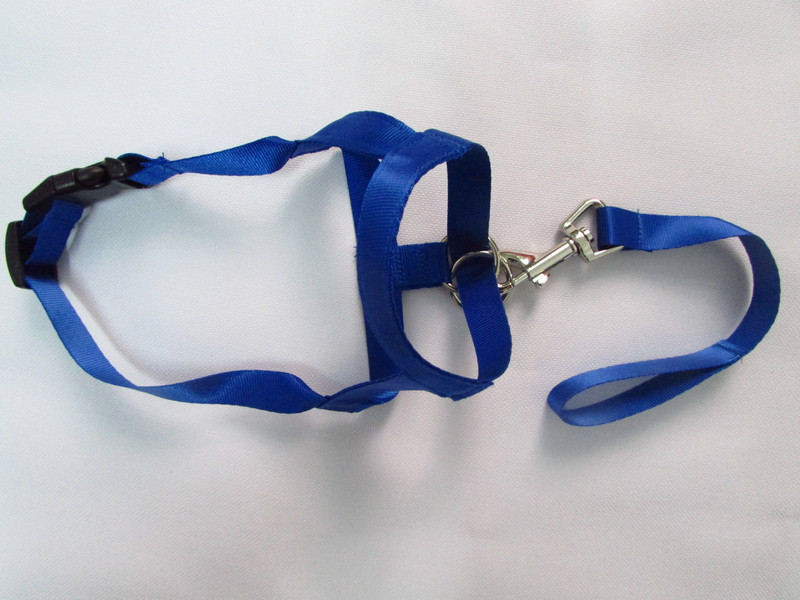 Ρυθμιζόμενο κολάρο σκύλου με ζώνη οδηγού Χωρίς ιμάντες έλξης για δάγκωμα ιμάντα καλωδίωσης κολάρο κεφαλιού Ρύγχος σκυλάκι Εκπαίδευση με λουρί Leader Classic κολάρο