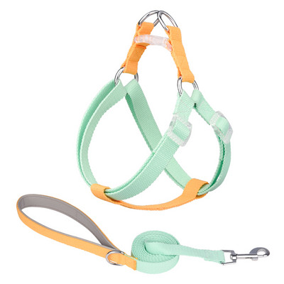 Λουρί και λουρί για σκύλους για κατοικίδια Αξεσουάρ εκπαίδευσης για βόλτα με σκύλους, προμήθειες γαλλικού μπουλντόγκ Τσιουάουα