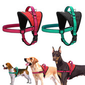 Ham durabil pentru câini, din nailon, respirabil, pentru plimbare, hamuri din plasă pentru animale de companie, pentru câini de talie medie, pitbull, labrador, verde trandafir