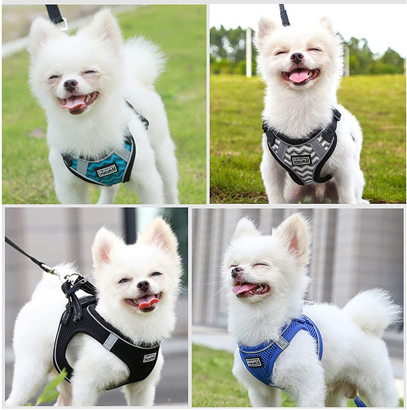 Benepaw Durabil, fără tragere, Set de ham și lesă pentru câini, mijlocii, respirabil, reflectorizant, pisică, pentru cățeluș, vestă ușor de pus/dezcodat