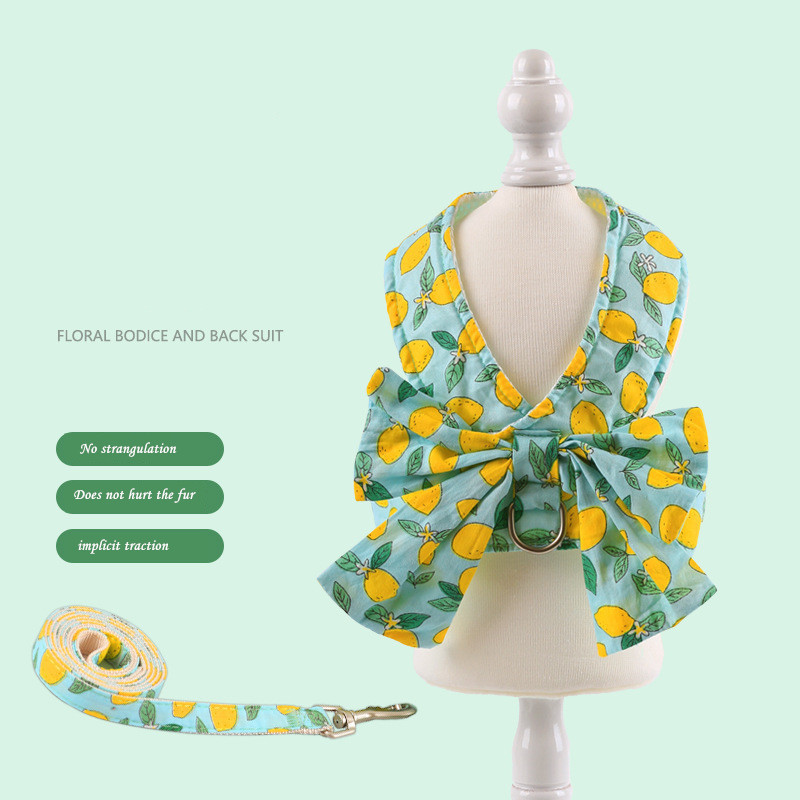 Set drăguț de ham și lesă pentru câini, respirabil, cu bowknot floral, ham pentru pisici pentru câini mici și mijlocii, lesă, accesorii pentru animale de companie