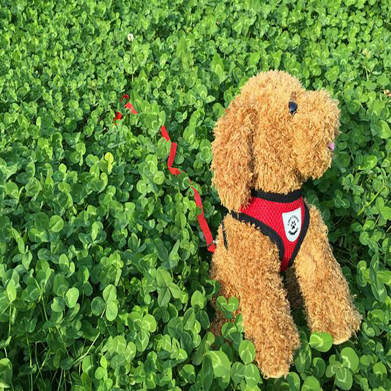 SML Accesorii pentru câini Set de ham și lesă pentru câini din plasă respirabilă pentru câini de talie mică