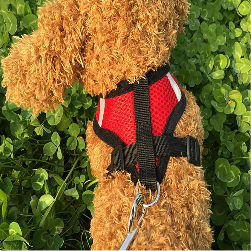 SML Accesorii pentru câini Set de ham și lesă pentru câini din plasă respirabilă pentru câini de talie mică