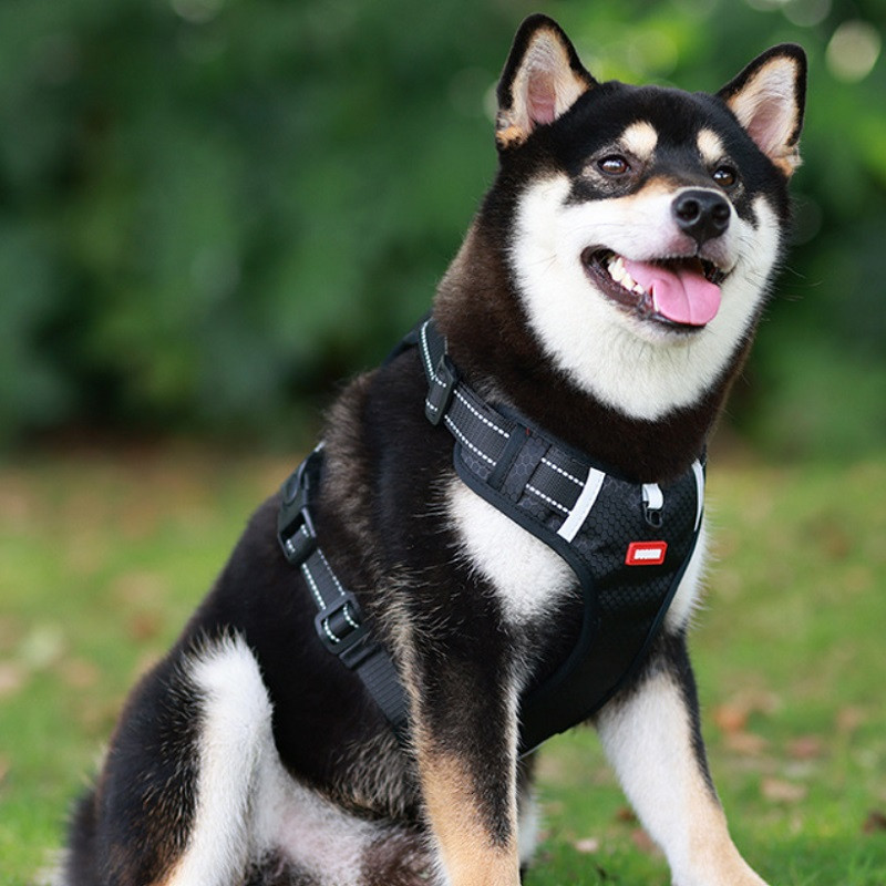 Petnešos dideliam šuniui Kvėpuojantis tinklelis Didelis šuns diržas Liemenė Šviesą atspindinti Vidutinės šuns petnešos Mažas šuo Krūtinės dirželis su rankena