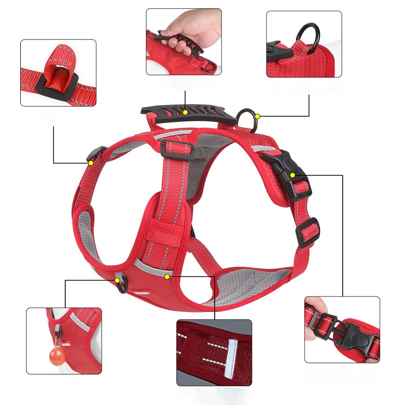 Petnešos dideliam šuniui Kvėpuojantis tinklelis Didelis šuns diržas Liemenė Šviesą atspindinti Vidutinės šuns petnešos Mažas šuo Krūtinės dirželis su rankena