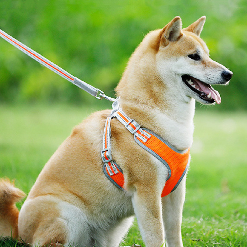 Ham pentru câini pentru animale de companie, haine reflectorizante, respirabile, pentru câini de dimensiuni medii mari, siguranța pentru plimbare animale de companie, cățeluș, nailon, roz, curea pieptului lesă