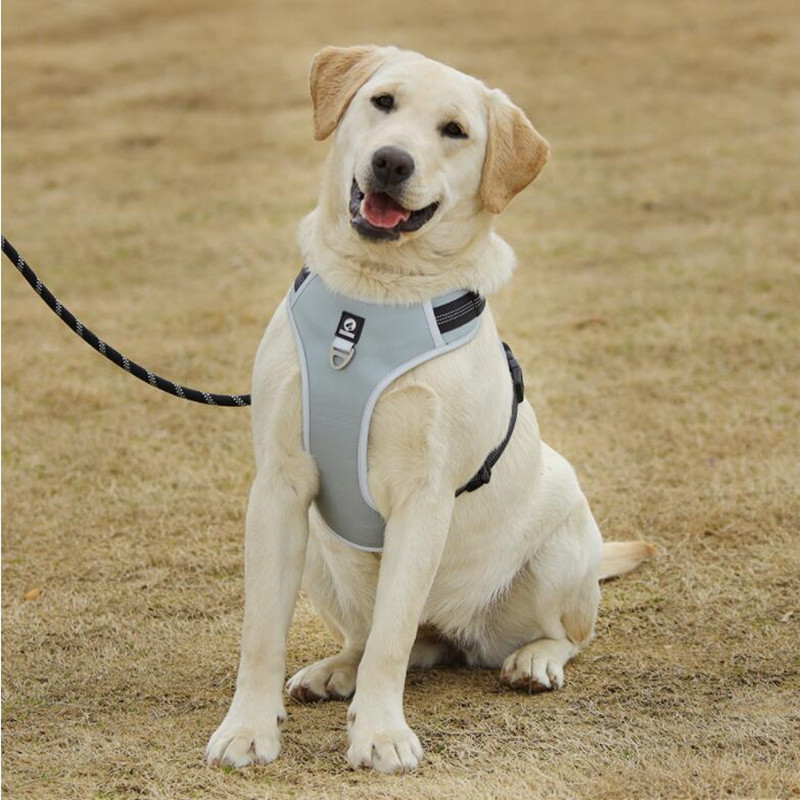 Ζωγραφιά κατοικίδιων ζώων Oxford, υφασμάτινο σκύλο, αναπνεόμενο αντανακλαστικό λουρί, αντιεκρηκτικό γιλέκο για μεγάλους σκύλους, προμήθειες για σκύλους, προϊόντα για κατοικίδια