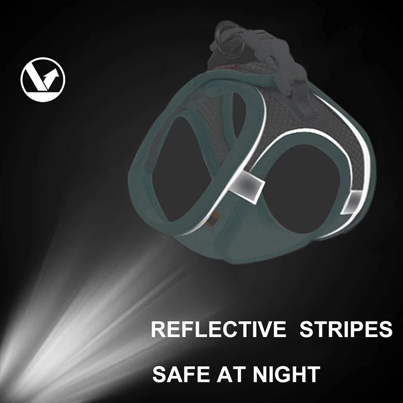 Koerarakmete jalutusrihma komplekt Reguleeritav kutsikakassi rakmete vest Prantsuse buldogi chihuahua mopsi õues käimise pliirihm väikestele koertele