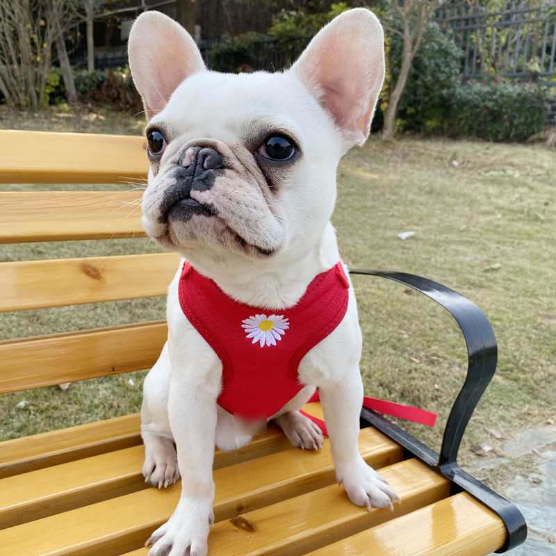 Prozračni prsluk za pse, povodac za hodanje, povodac, podesivi pojas, ogrlica za štene, meka poliesterska mreža, pojas za male srednje kućne ljubimce