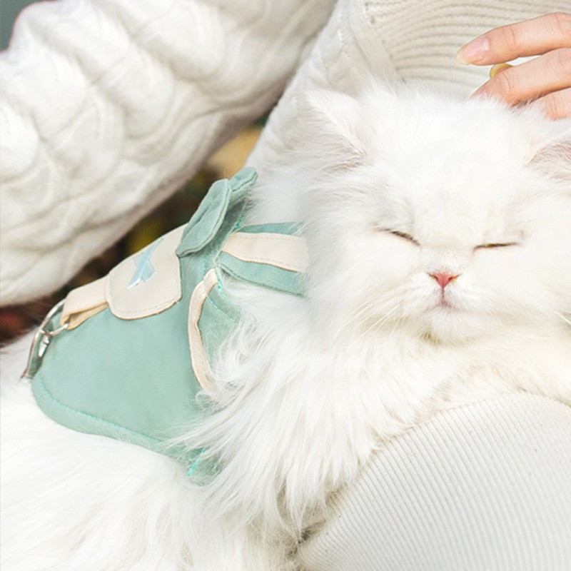 Set de lesă ham respirabil pentru pisici, vestă pentru câini, pisică de companie, curea drăguță pentru piept, frânghie pentru plimbări pentru câini mici și mijlocii, pisici