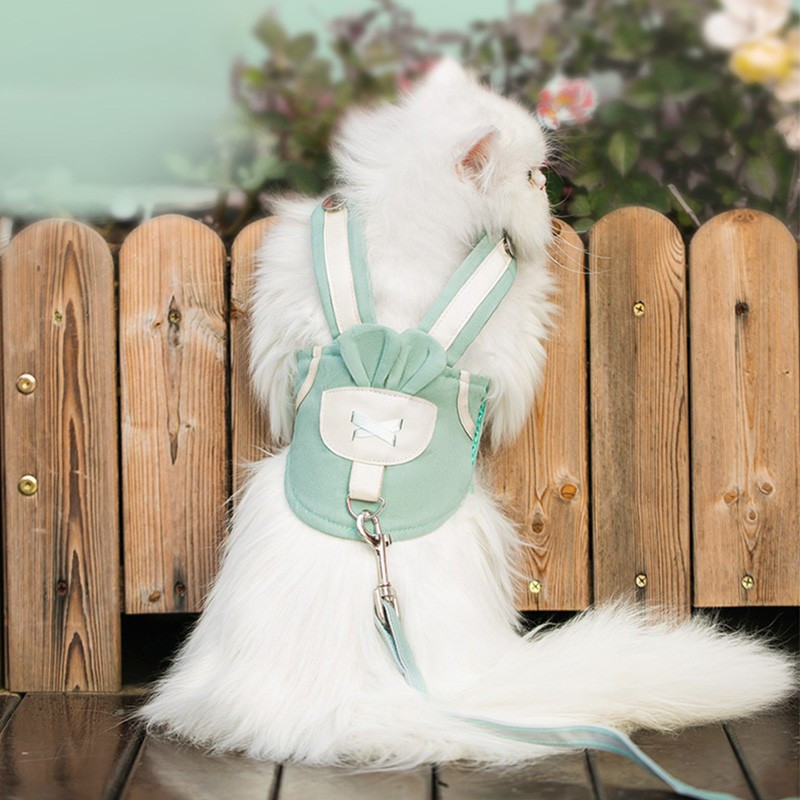 Set de lesă ham respirabil pentru pisici, vestă pentru câini, pisică de companie, curea drăguță pentru piept, frânghie pentru plimbări pentru câini mici și mijlocii, pisici