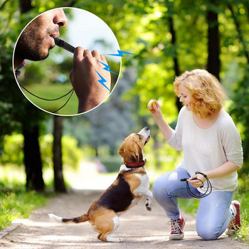 Εκπαίδευση σκύλων Σφυρίχτρες Δυνατό Σφυρίχτρα σκύλου για Ανάκληση Προμήθειες εκπαίδευσης σκύλων για περπάτημα Ταξίδια Κάμπινγκ Κυνήγι