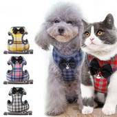 Set remenica i povodca za male pse, remenica za mačku za kućne ljubimce s mrežastom leptir mašnom Podstavljeni povoci za male štene Chihuahua Yorkie Pug