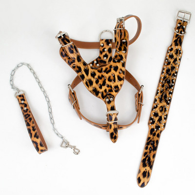 Lemmiklooma välistingimustes kasutatavad rakmed Koerarakmed needid naeltega PU-nahast naelad Lemmikloomarakmed Pitbulli suurtele keskmistele koertele, neetide päitsetega kaelarihm