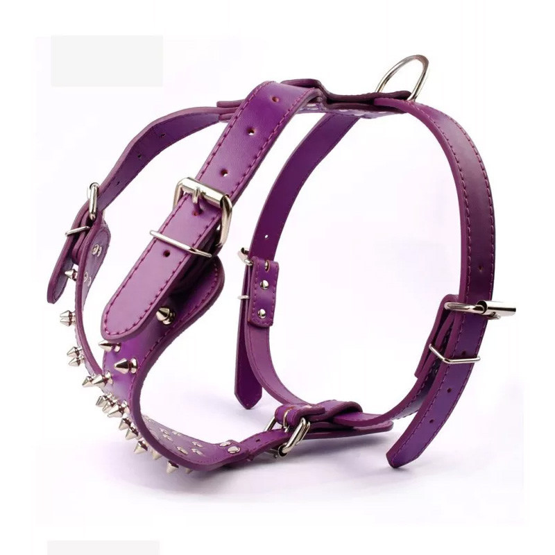 Lemmiklooma välistingimustes kasutatavad rakmed Koerarakmed needid naeltega PU-nahast naelad Lemmikloomarakmed Pitbulli suurtele keskmistele koertele, neetide päitsetega kaelarihm