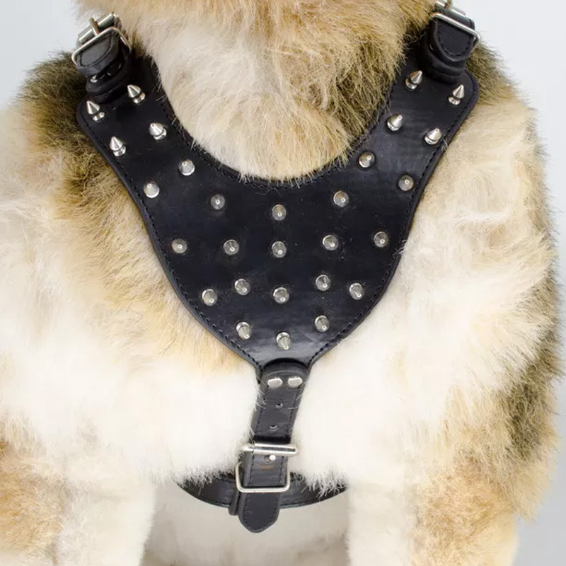 Lemmiklooma välistingimustes kasutatavad rakmed Koerarakmed needid naeltega PU-nahast naelad Lemmikloomarakmed Pitbulli suurtele keskmistele koertele, neetide päitsetega kaelarihm