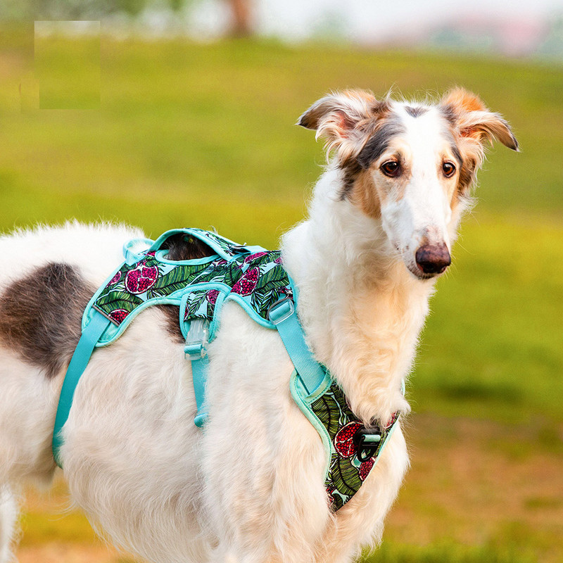 Ham floarea-soarelui Brother, pisica pentru câini, vestă, plasă respirabilă, ham de lux pentru câini, fără tragere, control pentru animale de companie, ham pentru piept pentru câini albastru, cu mâner