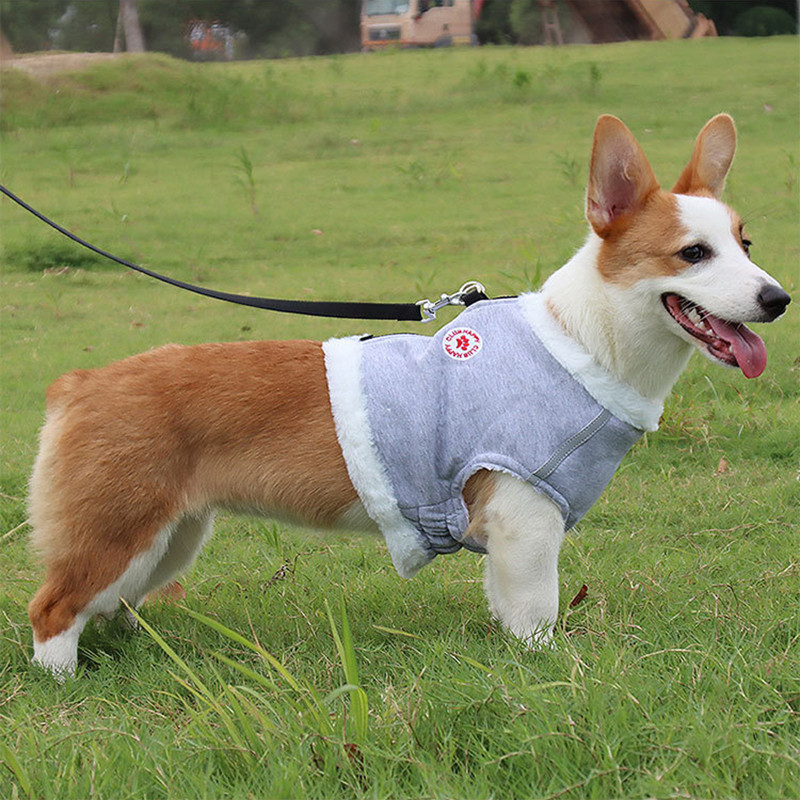 Îmbrăcăminte pentru animale de companie pentru câini de talie mică, medie, toamnă, iarnă, vestă caldă, jachetă, haine cu ham reflectorizant și set de lesă pentru ținute de îmbrăcăminte pentru câini
