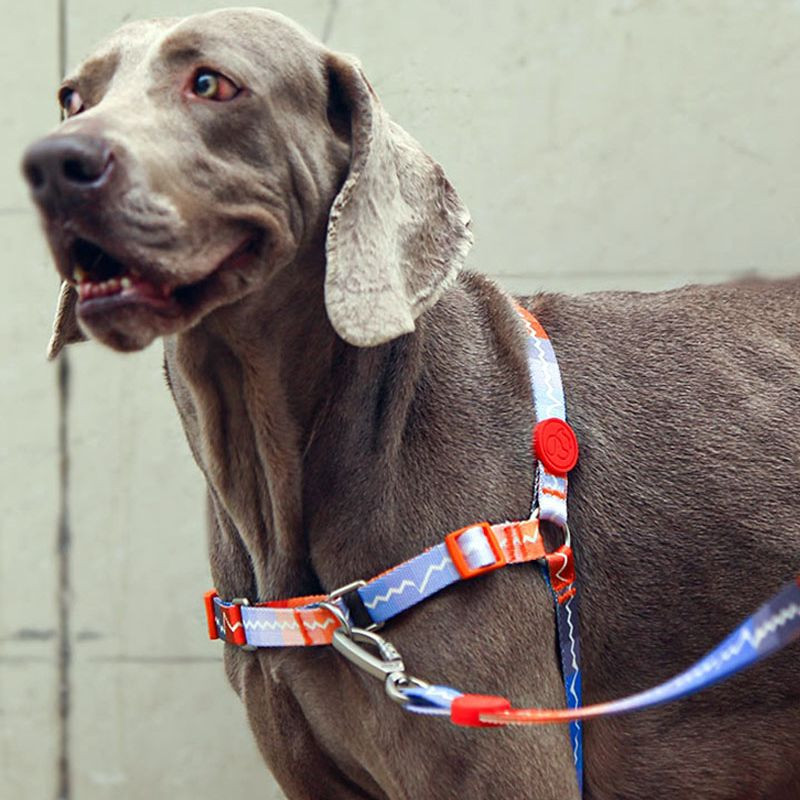 Nailonist koerarakmed, tõmbevabad, reguleeritavad rinnarihmad, veojõutreeningvest, lemmiklooma rakmed väikesele keskmisele suurele koerale, mopsile Harnais Chien