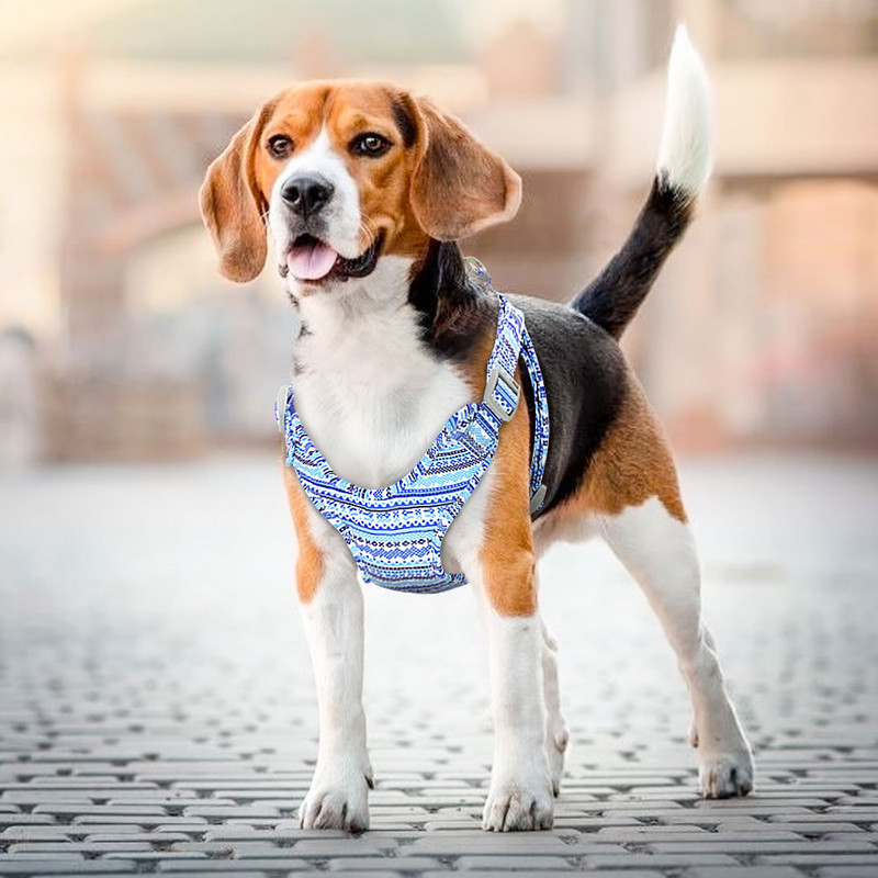 Ham reflectorizant pentru câini, plasă de nailon, vestă pentru câini, hamuri reglabile pentru animale de companie, veste pentru câini mici, mijlocii mari, produse pentru animale de companie Chihuahua