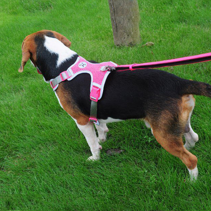 Ham pentru câini, mare, din nailon, respirabil, pentru câini mari, pentru cățeluș, vestă, hamul pentru animale de companie, pentru câini de talie mică, mijlocie, Pitbull Boston Terrier