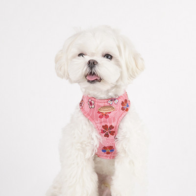 Ham pentru câini pentru câini de talie mică, design, fără tragere, ham pentru câini, fără durere, antitironi, curea dublă, schnauzer pomeranian, imprimare.