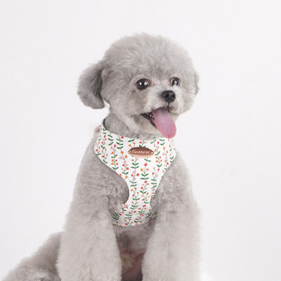 Ham pentru câini pentru câini de talie mică, design, fără tragere, ham pentru câini, fără durere, antitironi, curea dublă, schnauzer pomeranian, imprimare.