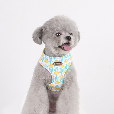 Ham pentru câini pentru câini de talie mică, design, fără tragere, ham pentru câini, fără durere, antitironi, curea dublă, schnauzer pomeranian, imprimare.