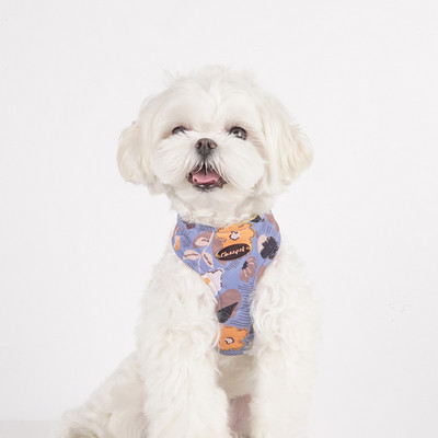 Ham pentru câini pentru câini de talie mică, design, fără tragere, ham pentru câini, fără durere, antitironi, curea dublă, schnauzer pomeranian, imprimare.