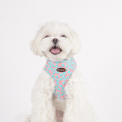 Ham pentru câini pentru câini de talie mică, design, fără tragere, ham pentru câini, fără durere, antitironi, curea dublă, schnauzer pomeranian, imprimare.