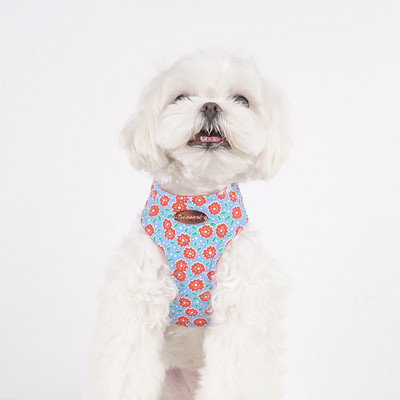 Ham pentru câini pentru câini de talie mică, design, fără tragere, ham pentru câini, fără durere, antitironi, curea dublă, schnauzer pomeranian, imprimare.