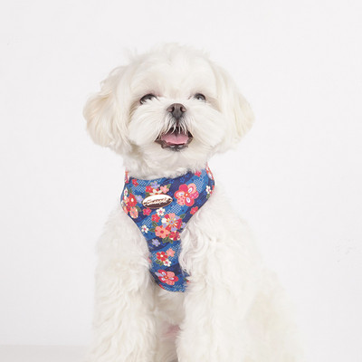 Ham pentru câini pentru câini de talie mică, design, fără tragere, ham pentru câini, fără durere, antitironi, curea dublă, schnauzer pomeranian, imprimare.