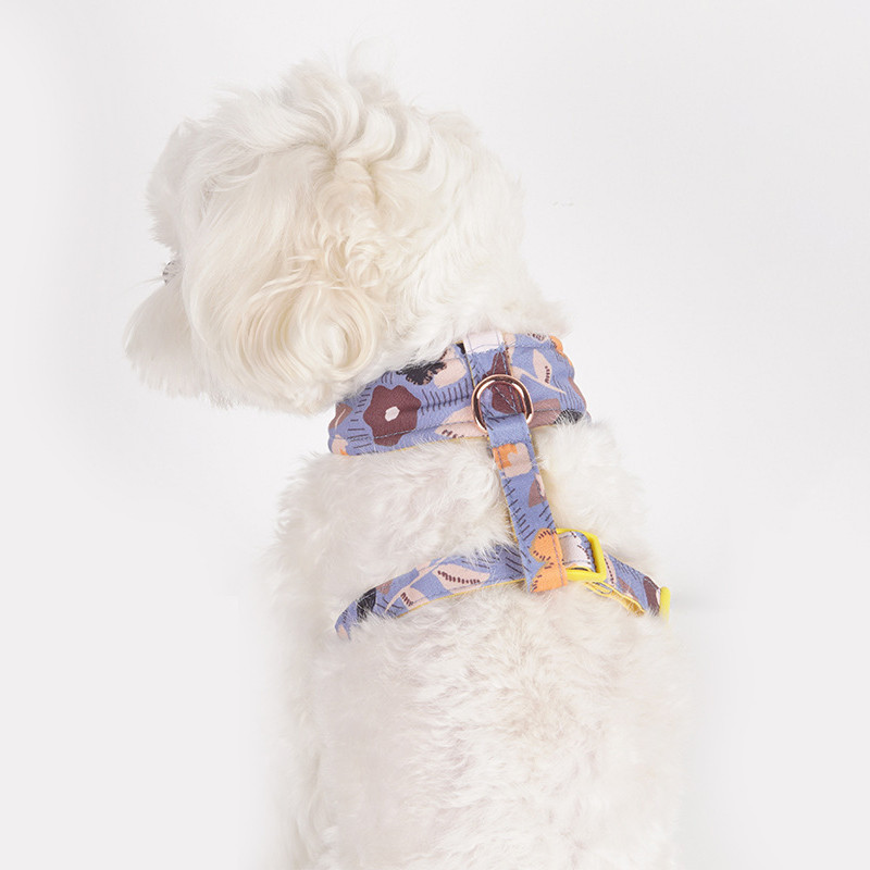 Ham pentru câini pentru câini de talie mică, design, fără tragere, ham pentru câini, fără durere, antitironi, curea dublă, schnauzer pomeranian, imprimare.