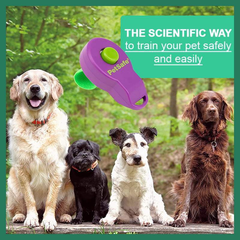 1PC antrenor de câini Clicker pentru antrenament câini fluier răspuns Ghid de sunet Clickers cu centură elastică produse pentru câini articole pentru animale de companie