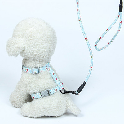 Λουρί κατοικίδιων ζώων, ρυθμιζόμενο γενικό λουρί, κατάλληλο για γάτες και σκύλους, μπορεί να αποτρέψει την καταστροφή των κατοικίδιων ζώων, ιαπωνικού στυλ