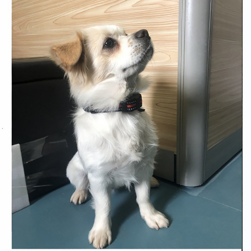 Dispozitiv de dresaj pentru câini cu telecomandă de 600 m, zgarda reîncărcabilă de dresaj pentru controlul lătratului Pentru câini 1/2 și separat