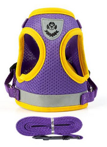 Oprtač za pse Remen za prsa za mačke Najlonski povodci za dresuru pasa Mekana mreža za remen za prsa Prilagodljivo povodce za hodanje na otvorenom