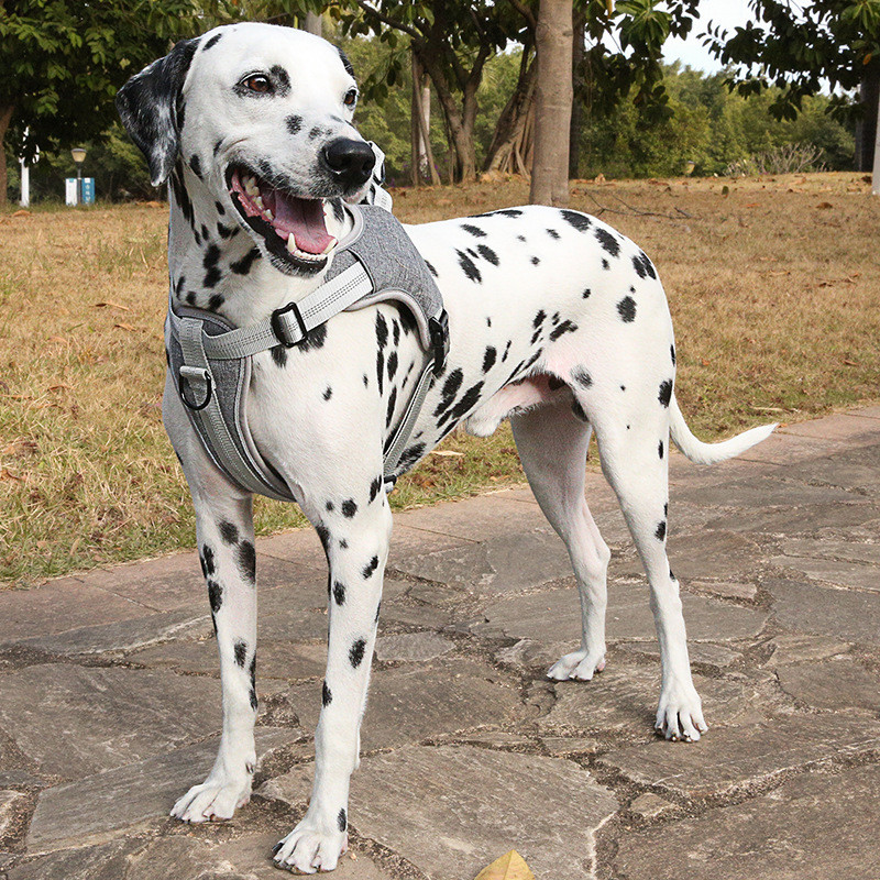 Harnaș reflectorizant din nailon pentru câini, haină rezistentă la explozie, respirabilă, pentru câini, zgarda pentru câini de companie pentru accesorii pentru câini mari, mijlocii