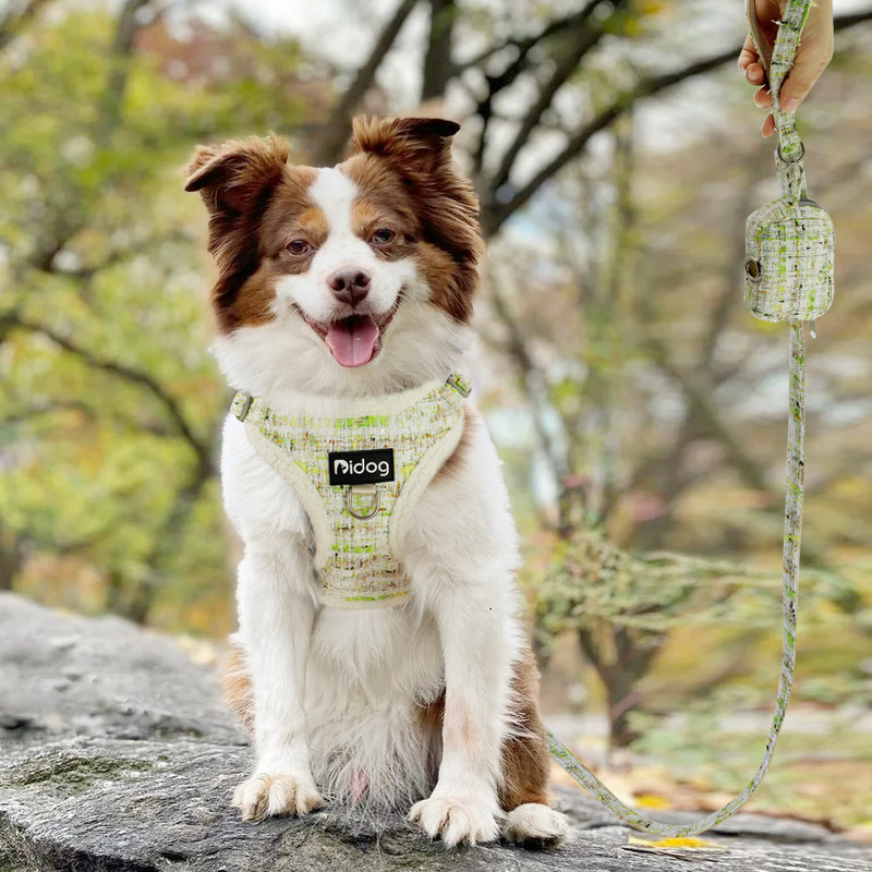 Soe talvine koerarakmete jalutusrihm kakakoti komplekt Pehme polsterdatud koerte rakmete vest õues kutsikale jalutamiseks mõeldud pliist suupistekott koertele Chihuahua