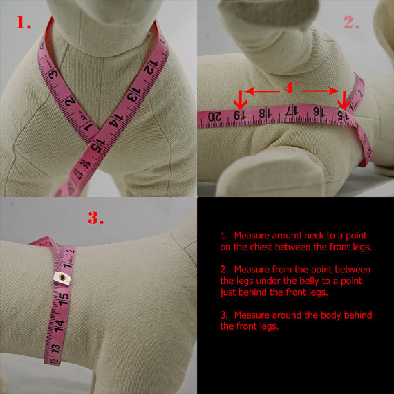 Leopardkoera rakmed koos kikilipsu ja põhilise koerarihmaga, reguleeritava pandlaga lemmikloomatarbed