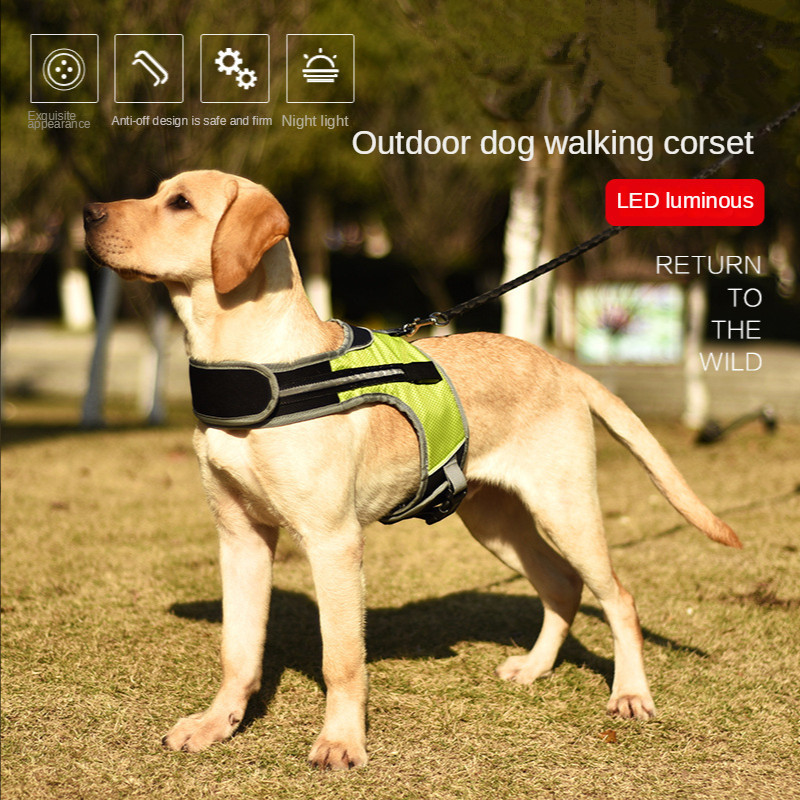 Ham pentru câini, cu LED-uri pentru câini mari, care strălucește în întuneric, vestă cu cureaua pentru piept, accesoriu reflectorizant sigur pentru plimbări în aer liber pentru zgarda de câine