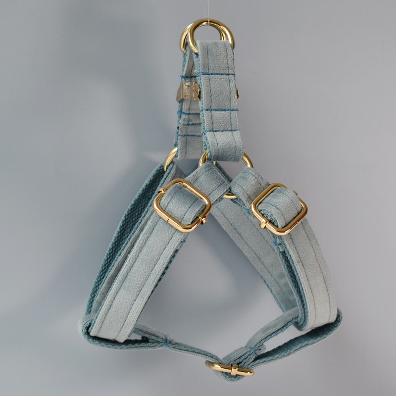 Set de lesă pentru zgarda pentru câini Accesorii pentru utilizare pentru animale de companie Yorkshire Terrier Mastiff maltez Alaskan Malamute Golden Retriever Flanele 18