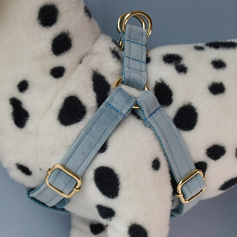 Set de lesă pentru zgarda pentru câini Accesorii pentru utilizare pentru animale de companie Yorkshire Terrier Mastiff maltez Alaskan Malamute Golden Retriever Flanele 18